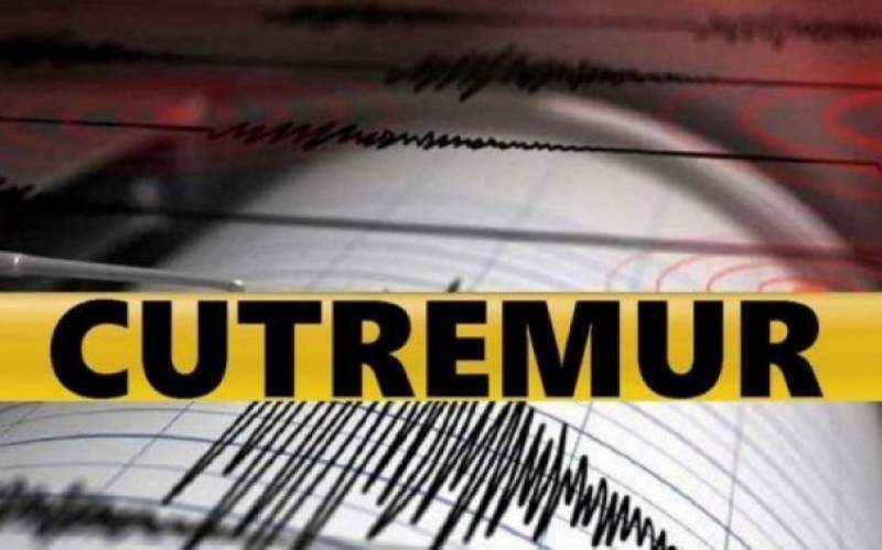 Cutremur cu magnitudinea de 4 grade pe scara Richter, în zona seismica Vrancea 4 5D9F2EB5 80D2 4977 9AFE DF18A51C166C