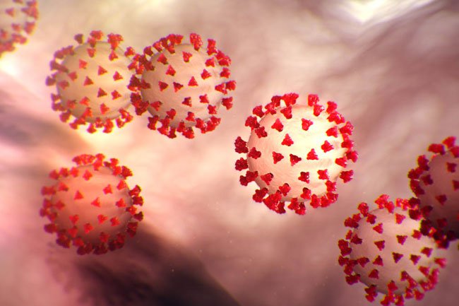 coronavirus-s1-what-is-coronavirus