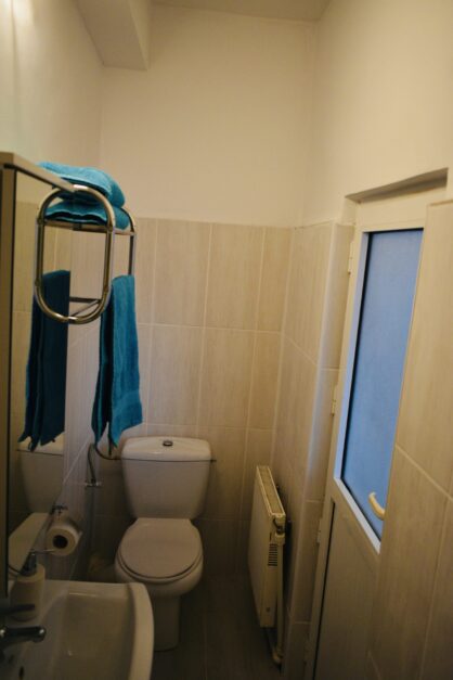 Pensiunea CASA BRÂNCUŞI, Peştişani - liniştea sufletului şi încântarea ochilor 25 IMG 3422 min scaled