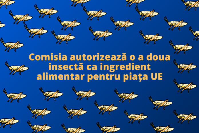 lacusta_calatoare